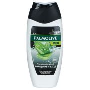 PALMOLIVE гель д/душа МУЖСКОЙ  4 в 1 Очищение и Уход  250 мл /12