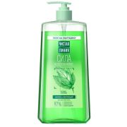 Ч.Линия ШАМПУНЬ 1000мл  Крапива д/всех типов волос/6 Vi