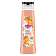 CAMAY  Гель д/душа  400мл. АБРИКОС и МАСЛО ШИ/ Смягчение и Уход  /12