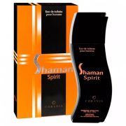 м  т/в  SHAMAN    SPIRIT  100 мл /48