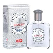 АКЦИЯ м  т/в  Brandy Silver VS (Бренди Сильвер ВС)-100мл/24